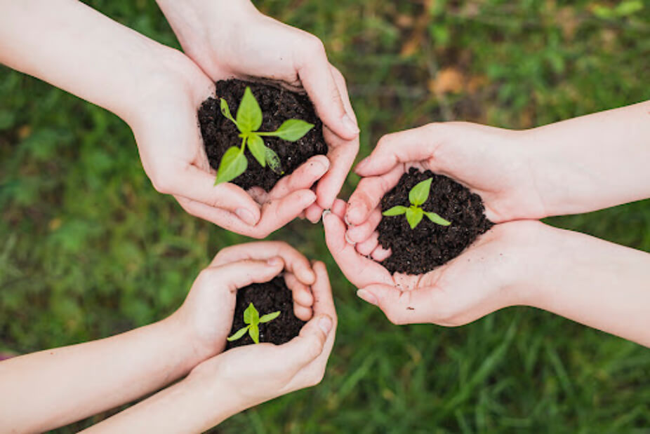 Manos sosteniendo puñados de tierra con plantas